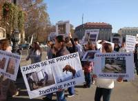 Demo against animal transport 2009. [ 554.81 Kb ]
