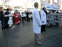 Demo against animal transport 2009. [ 506.12 Kb ]