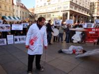 Demo against animal transport 2009. [ 572.96 Kb ]