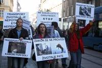 Demo against animal transport 2009. [ 536.38 Kb ]