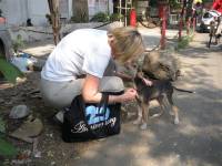 Ingrid Newkirk with a stray dog in India [ 101.94 Kb ]