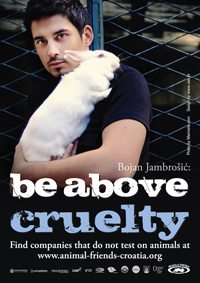 Bojan Jambrosic citylight eng [ 803.92 Kb ]