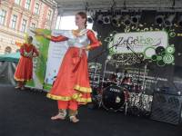 ZeGeVege Festival 2010 - 38 [ 96.79 Kb ]