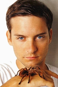 Tobey Maguire