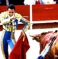 Bull-fighting and Fiesta -01 [ 34.40 Kb ]