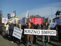 Prosvjed protiv krzna Zagreb 2012. a [ 91.24 Kb ]