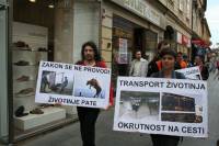 Prosvjed protiv transporta �ivotinja, Zagreb  2012 [ 90.42 Kb ]