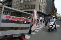 Prosvjed protiv transporta �ivotinja, Zagreb  2012 [ 84.65 Kb ]