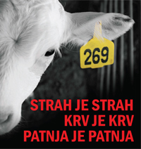 269