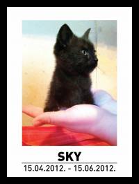 Sky