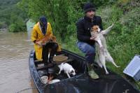 Floods in Serbia [ 77.32 Kb ]