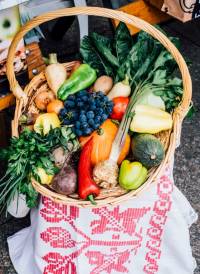 ZeGeVege festival 2015, photo: Goran Pavleti� [ 221.73 Kb ]