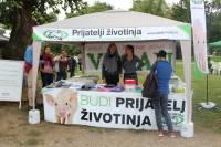 Vege piknik na Bundeku [ 145.82 Kb ]