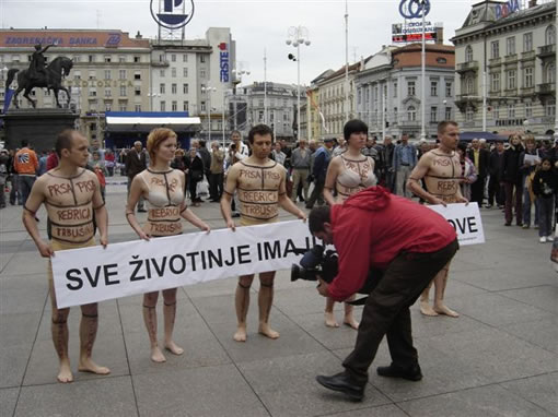 Sve �ivotinje imaju iste dijelove 1