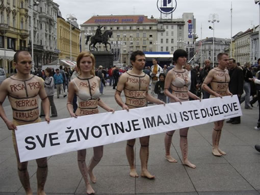 Sve �ivotinje imaju iste dijelove 4