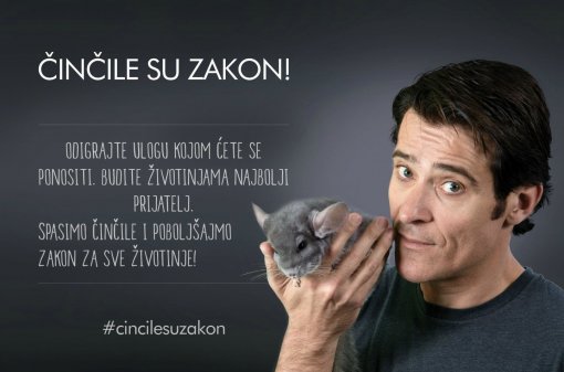 �in�ile su zakon - Goran Vi�nji� [ 122.45 Kb ]