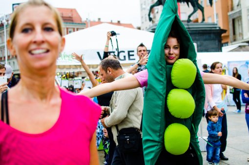 ZeGeVege festival [ 622.30 Kb ]
