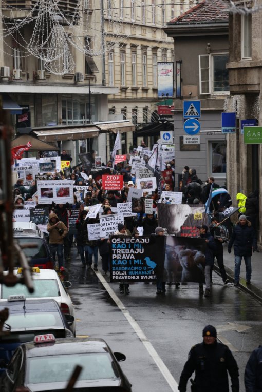 March for animals, photo: Jelena Rasic [ 419.21 Kb ]
