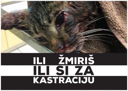 Ili �miri� ili si za kastraciju [ 799.31 Kb ]
