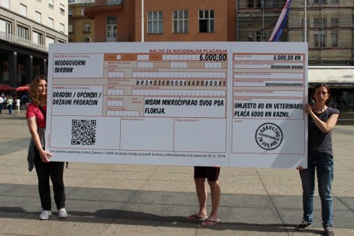 Performans: uplatnica velika 3 metra [ 260.70 Kb ]
