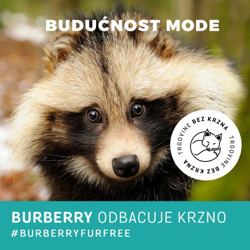 Burberry odbacuje krzno [ 480.74 Kb ]