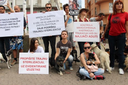 Psi i gra�ani ukazali na problem neprovedbe Zakona [ 291.86 Kb ]