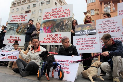 Action for Animal protection act anniversary [ 339.81 Kb ]