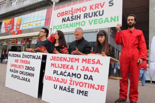 Obri�ite krv s va�ih ruku - postanite vegani [ 216.44 Kb ]