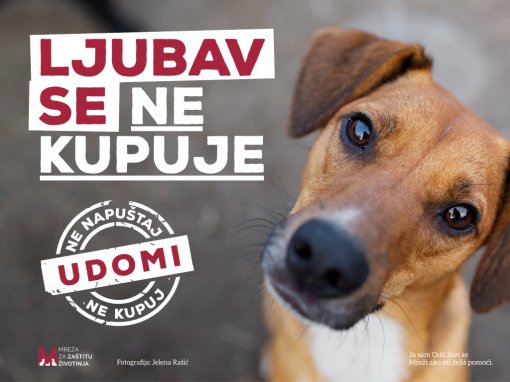 Udomi, ne kupuj [ 143.32 Kb ]