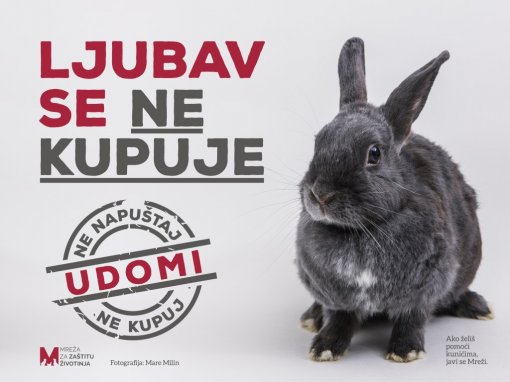 Udomi, ne kupuj [ 134.26 Kb ]