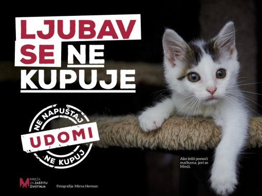 Udomi, ne kupuj [ 137.37 Kb ]