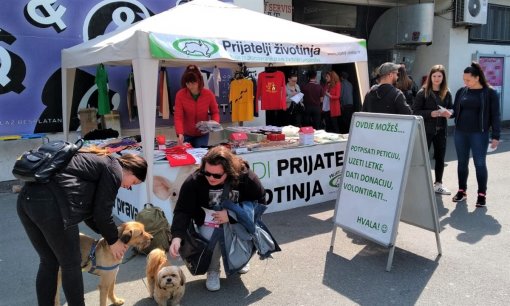 Prijatelji zivotinja-stand ispred SC-a [ 626.41 Kb ]