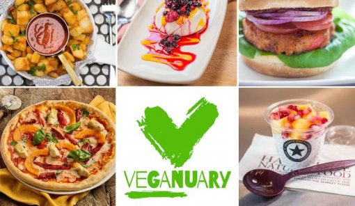 veganuary [ 118.03 Kb ]