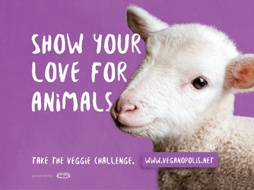 show your love for animals [ 876.34 Kb ]