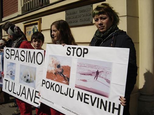 Protiv pokolja tuljana u Kanada 4