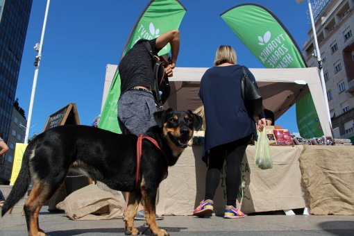 VegeSajam 2020 [ 402.43 Kb ]