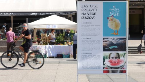 VegeSajam 2020 [ 493.76 Kb ]