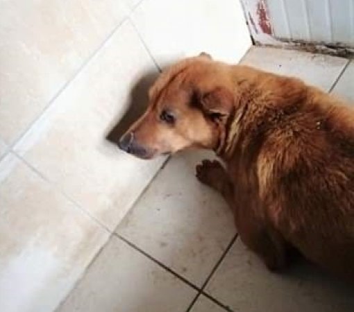 Vuka_FB As Eko