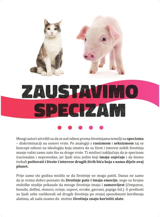 zaustavimo specizam [ 544.70 Kb ]