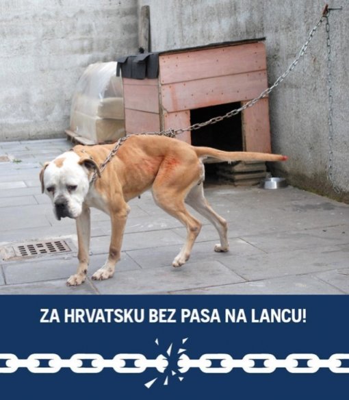 Pas na lancu nije alarm [ 103.26 Kb ]