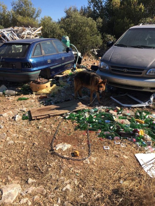 pas na lancu [ 714.71 Kb ]