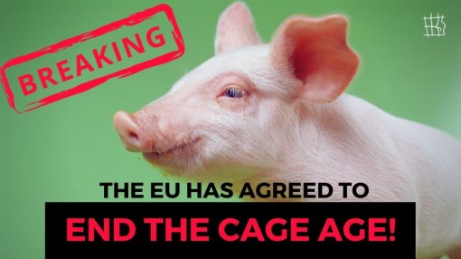 End the cage age [ 107.65 Kb ]