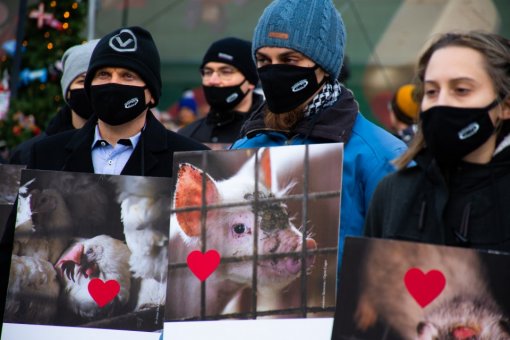 lets have a heart for animals [ 156.55 Kb ]