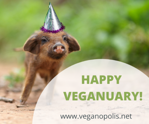 Veganuary_eng [ 537.81 Kb ]