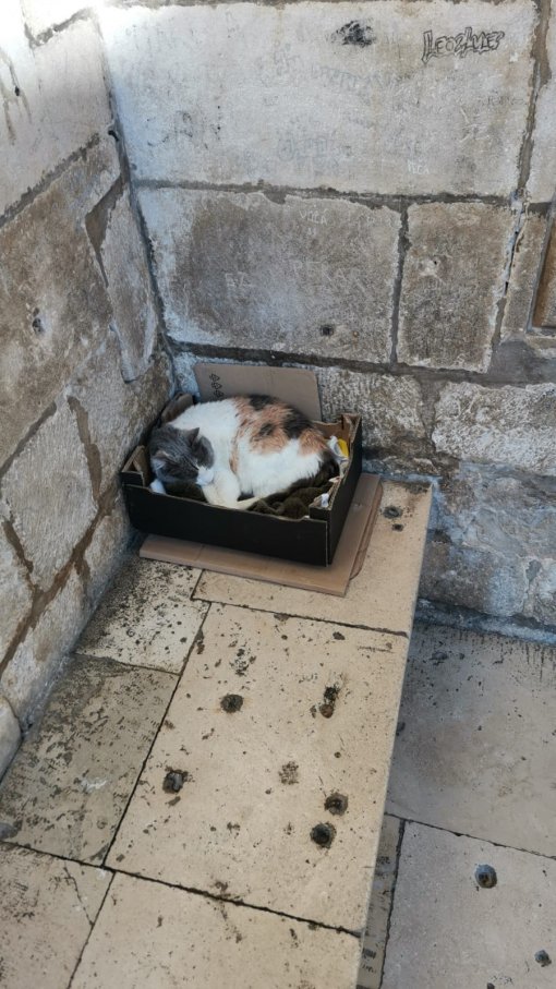 ma�ka Anastazija Dubrovnik [ 223.48 Kb ]
