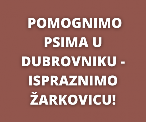 Ispraznimo Azil na �arkovici [ 175.58 Kb ]