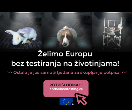 pokusi kozmetika eci [ 390.70 Kb ]