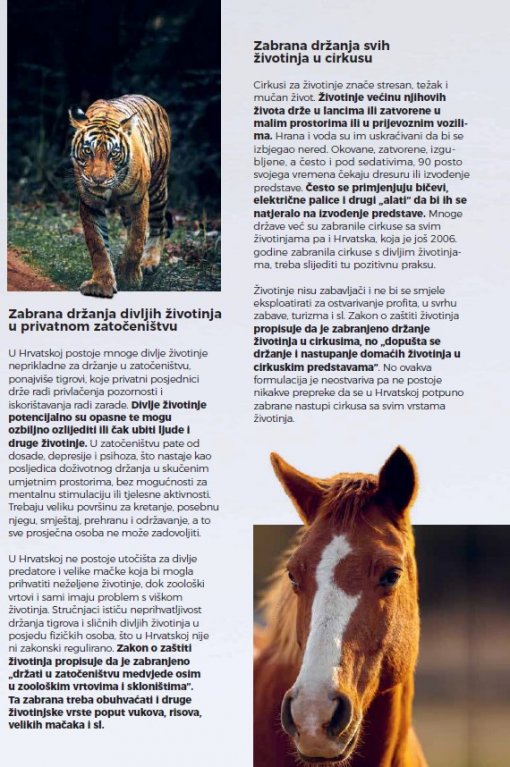 bolji zakon_bro�ura [ 186.27 Kb ]