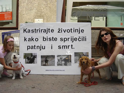 Do not kill - spay and neuter 4