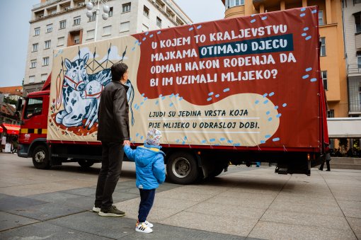 Doga�aj Zaviri u �ivot krava [ 1.37 Mb ]